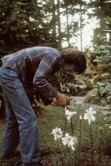 The George Harrison Woodland Walk To Be Opened in Liverpool The George Harrison Woodland Walk To Be Opened in Liverpool