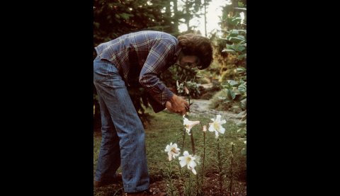 The George Harrison Woodland Walk To Be Opened in Liverpool